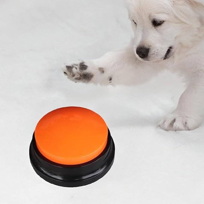 Jouet Interactif pour Chien - ChienParlant™ - Orange