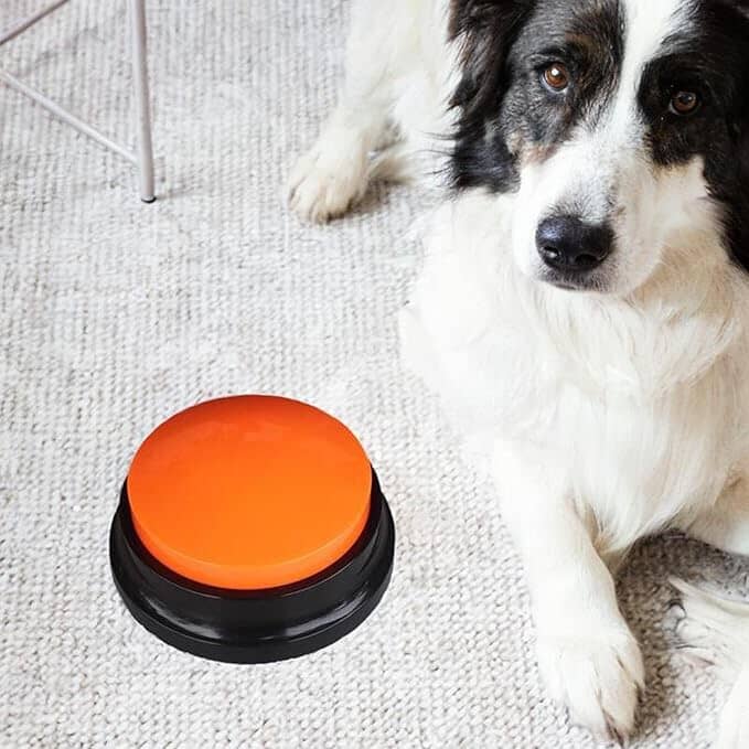 Jouet Interactif pour Chien - ChienParlant™ - Orange