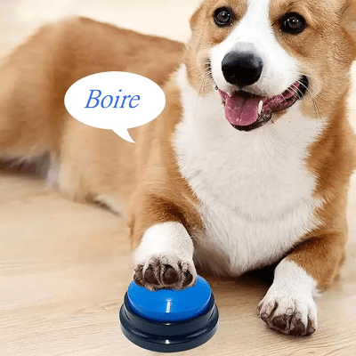 Jouet Interactif pour Chien - ChienParlant™ - Bleu Royal