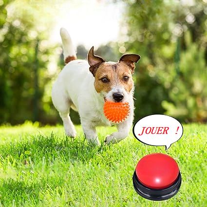 Jouet Interactif pour Chien - ChienParlant™ - Rouge