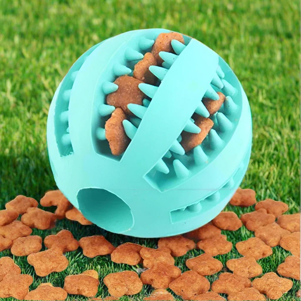 Ballon pour Chien - DogToyBall™ - Cyan