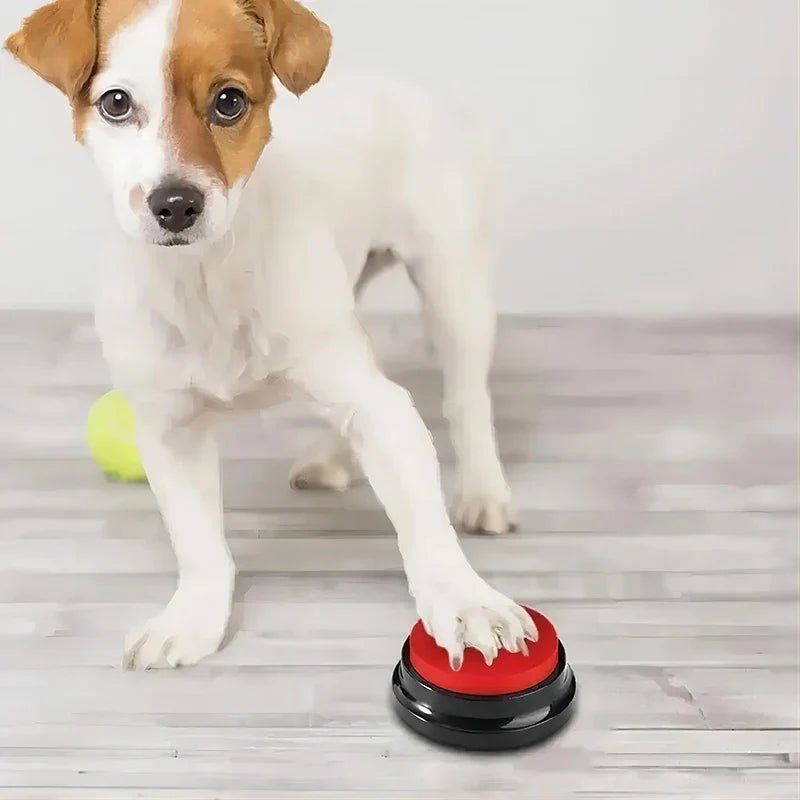 Jouet Interactif pour Chien - ChienParlant™ - Rouge