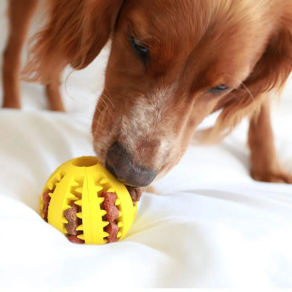 Ballon pour Chien - DogToyBall™ - Jaune