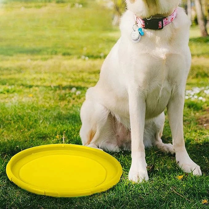 Frisbee Chien - FlyingDiscToys™ - Jaune