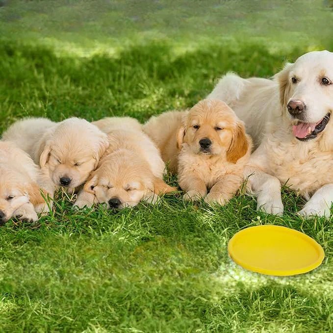 Frisbee Chien - FlyingDiscToys™ - Jaune