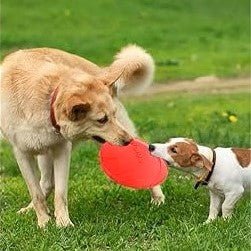 Frisbee Chien - FlyingDiscToys™ - Rouge